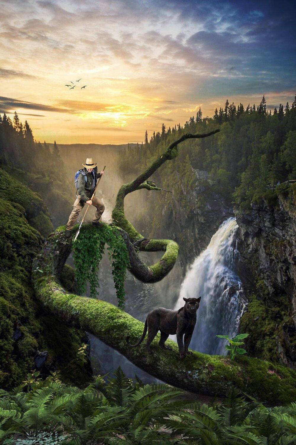 горы, джунгли, пантера, Sergii Vidov