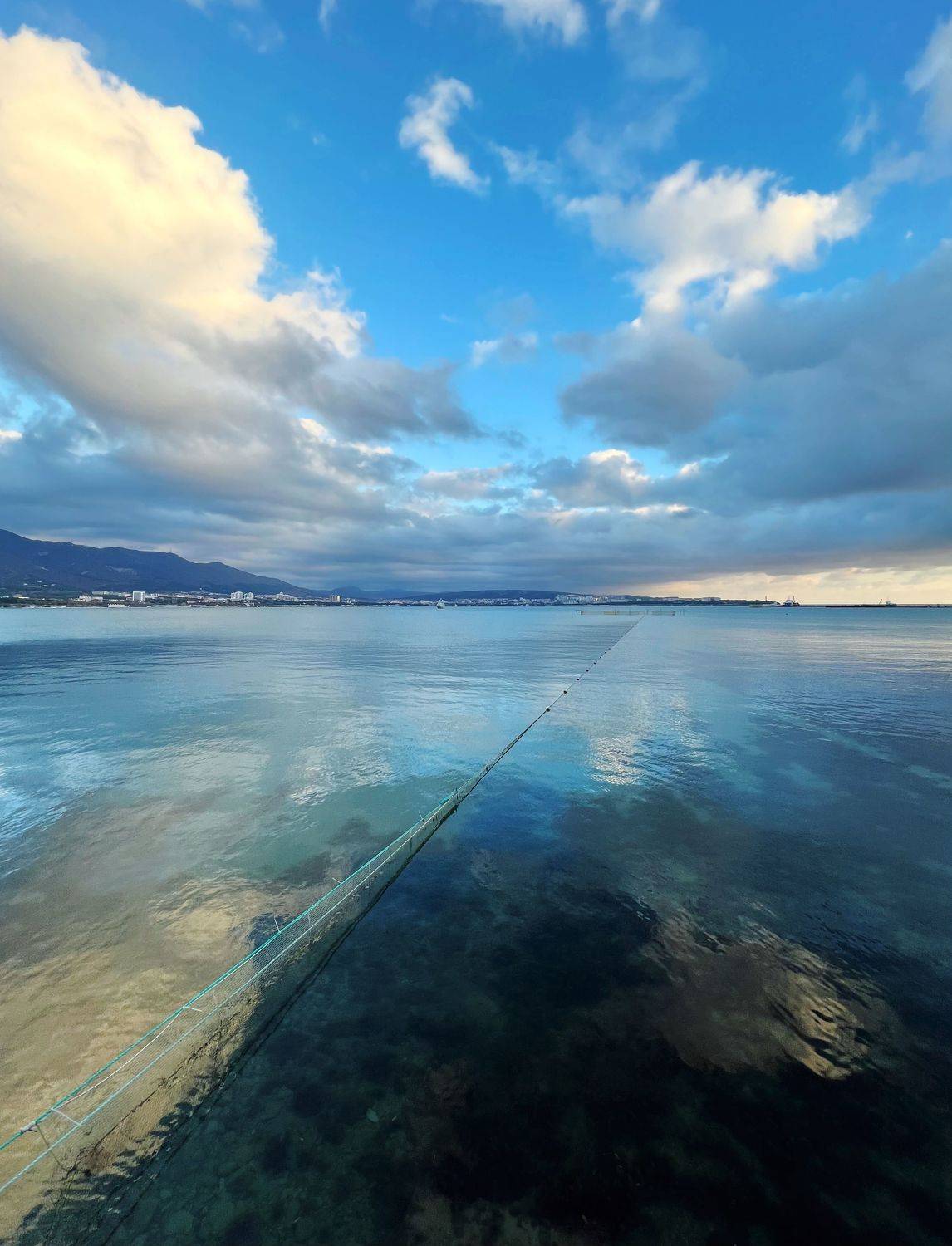 , Куликова Ирина