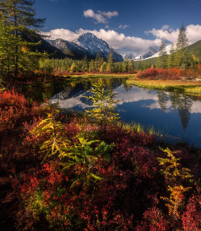 озеро джека лондона Начало осени фото превью