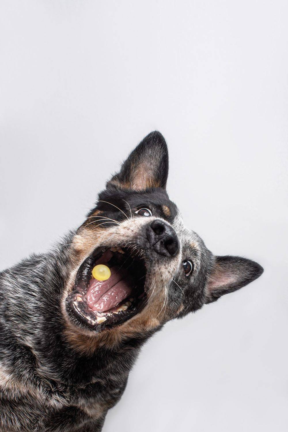 , Юлия Гончар