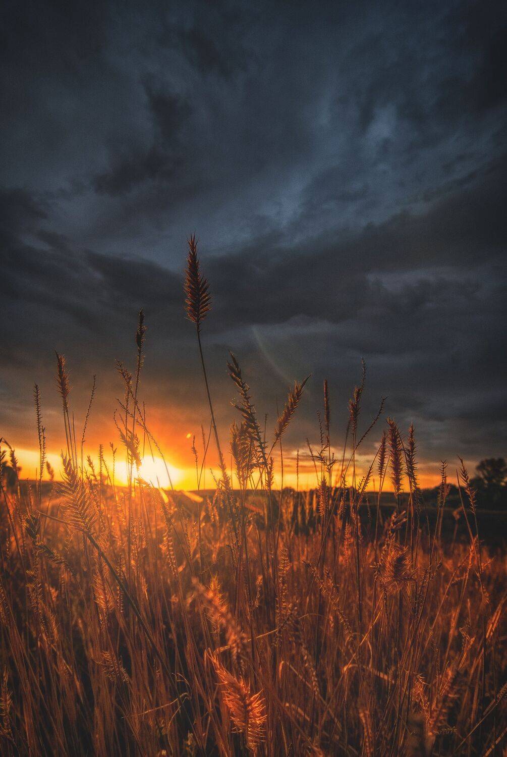 , Антонов Антон