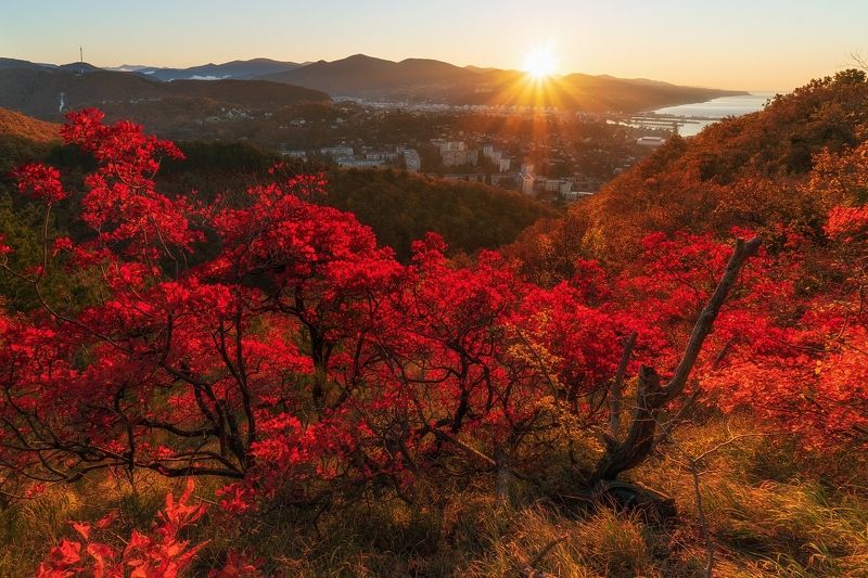 Туапсе на рассвете фото превью