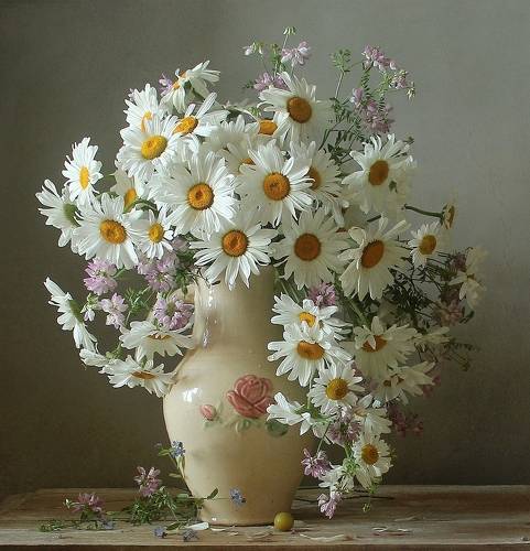 Любимые ромашки