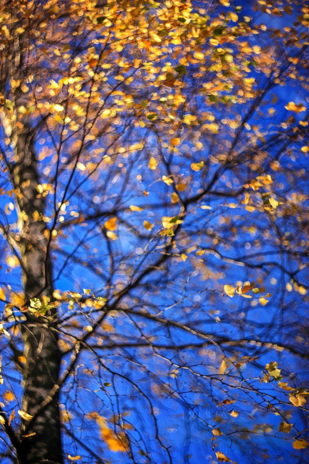 , ГОРЮКИНА ИРИНА