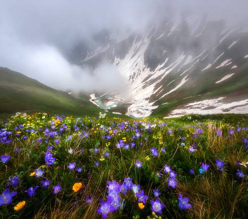 Блыбский дзен