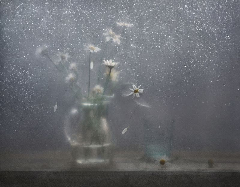 Замерзающая нежность фото превью