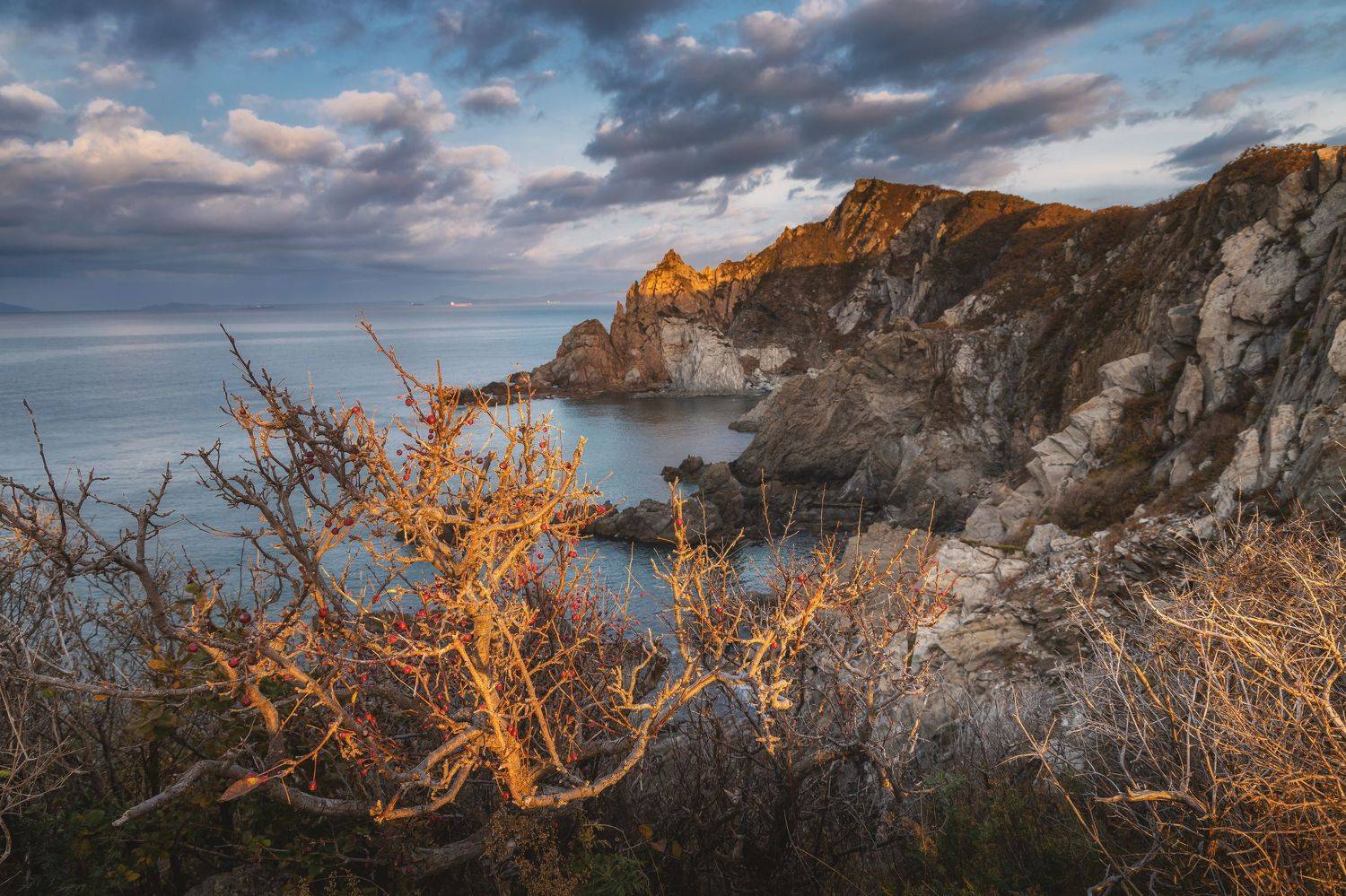 , Грамаков Юрий