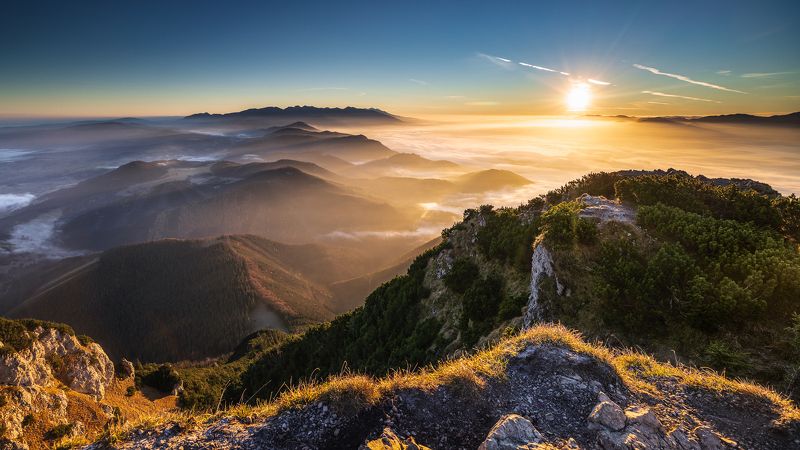 Beautiful morning... фото превью