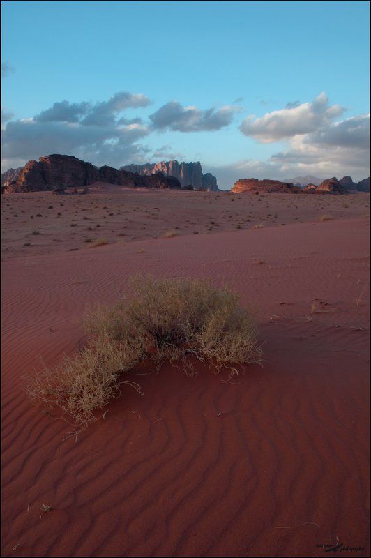 Вади Рам, Закат, Иордания, Пустыня Пустыня Вади Рам фото превью