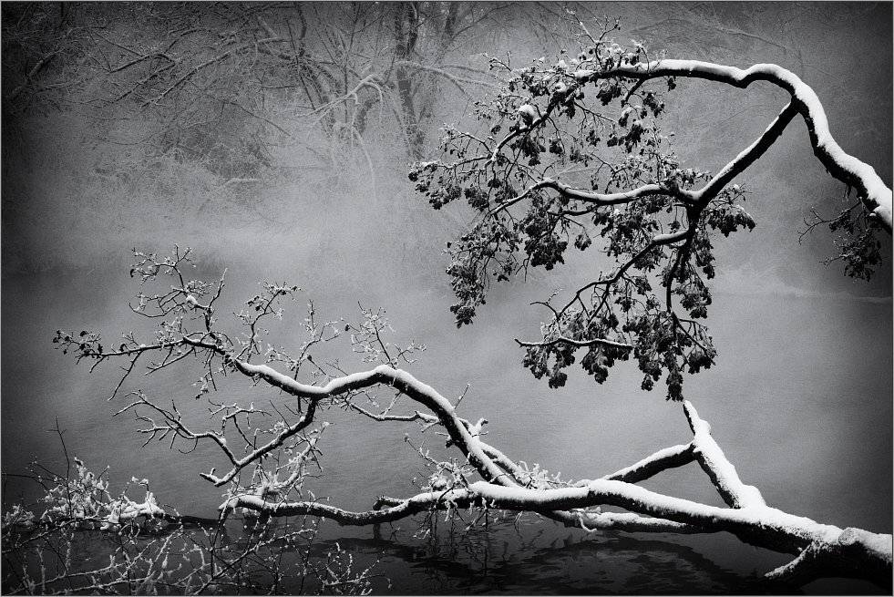 , Сергей Фудиненко