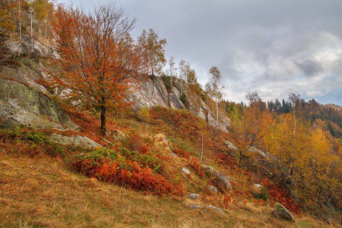 , Ярослав Тюрменко (Jaremi)