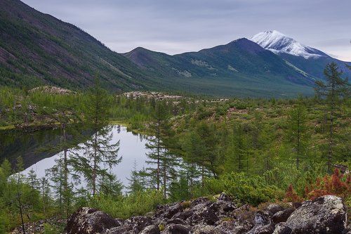 Бесшумный вечер