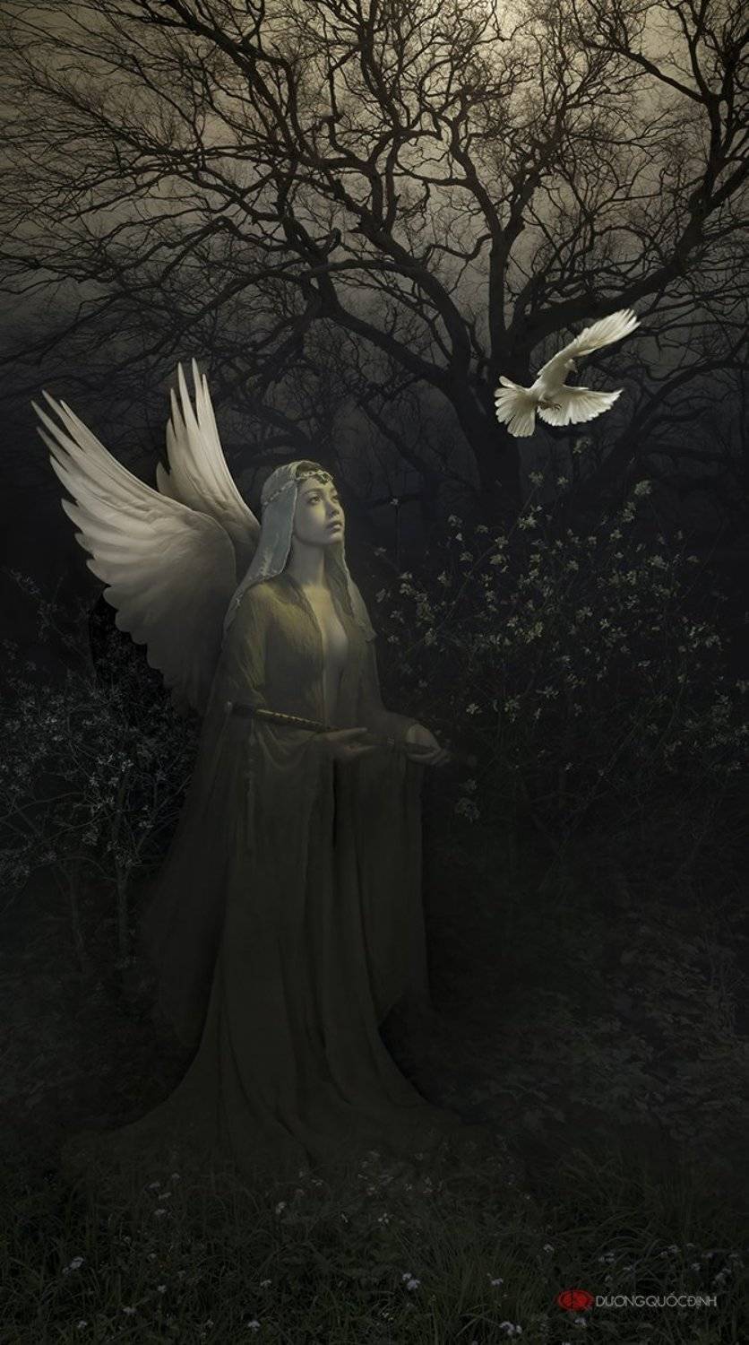 Angel. Автор: duong quoc dinh , duong quoc dinh