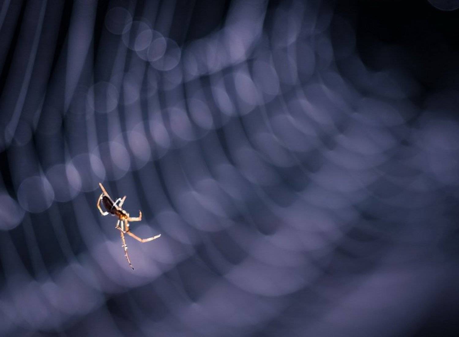 , Вячеслав Мищенко