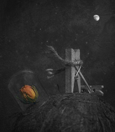 You are my rose - unique in all the word ...