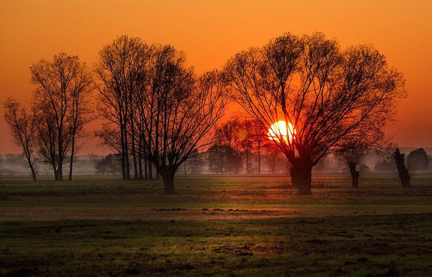 , Pawel Plucinski