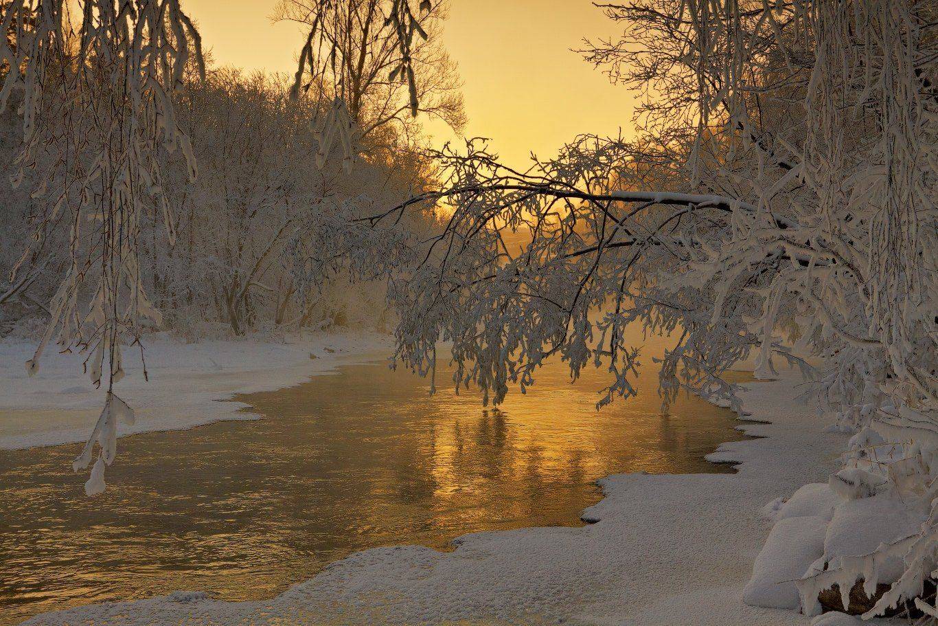 Зима, Золото, Иней, Река, Данил Ромодин