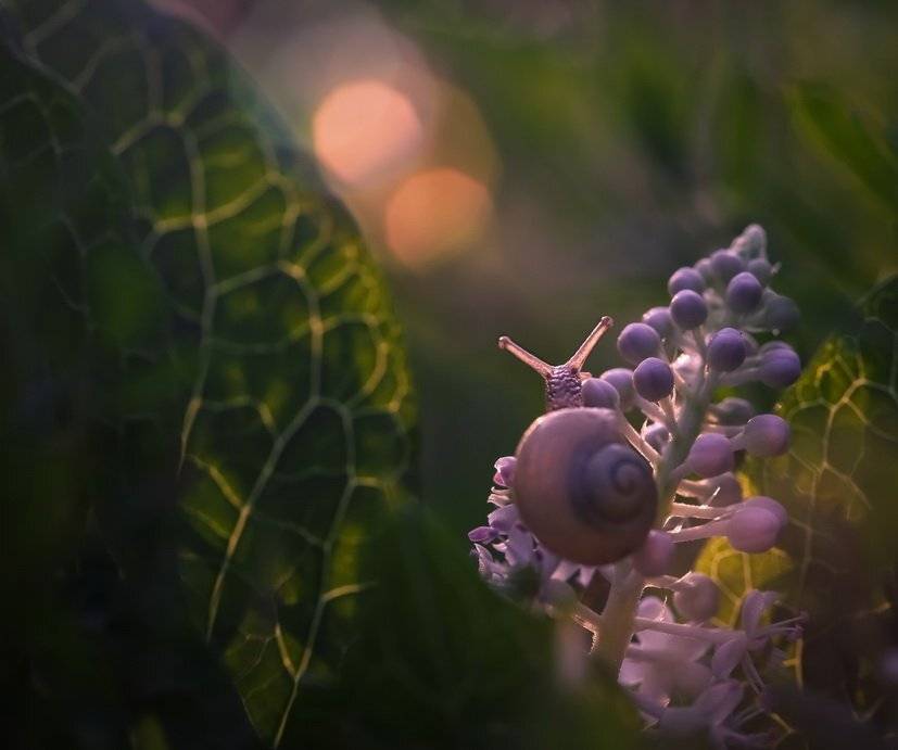 , Вячеслав Мищенко