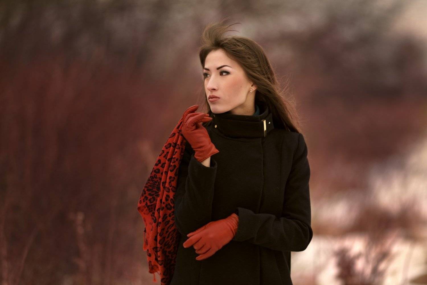 , Прусский Владимир