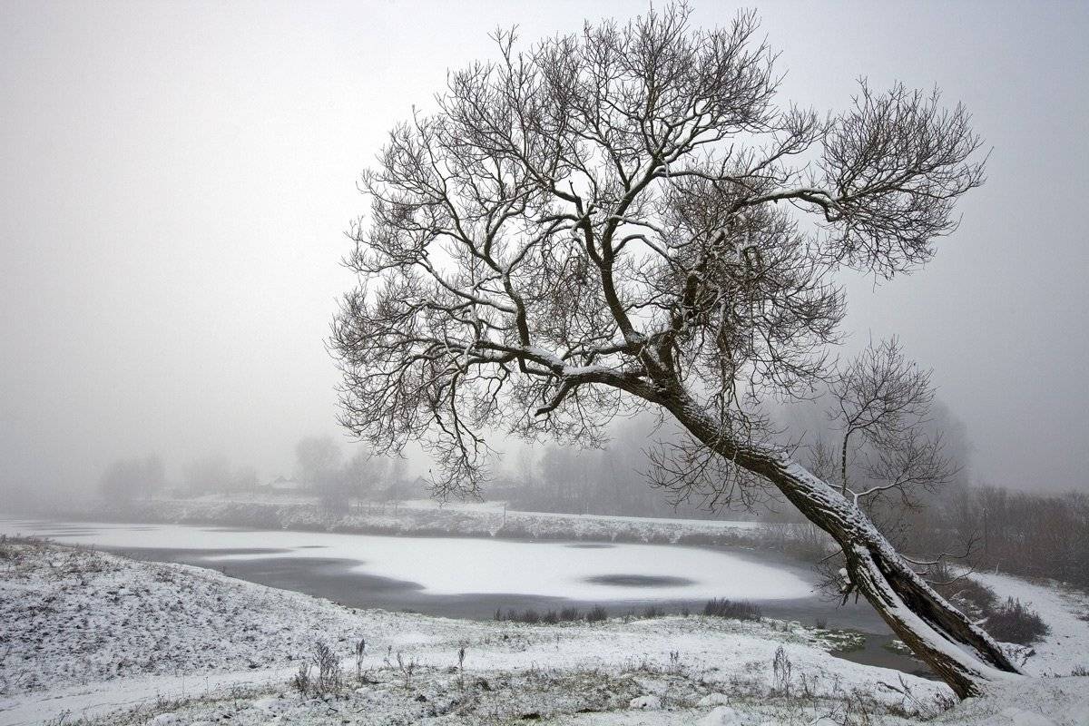 , Валерий Кондратов