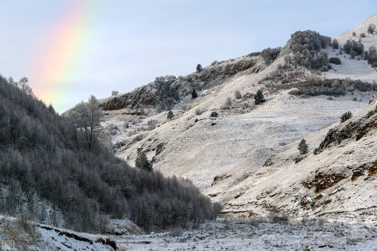 , Дмитрий Доронин