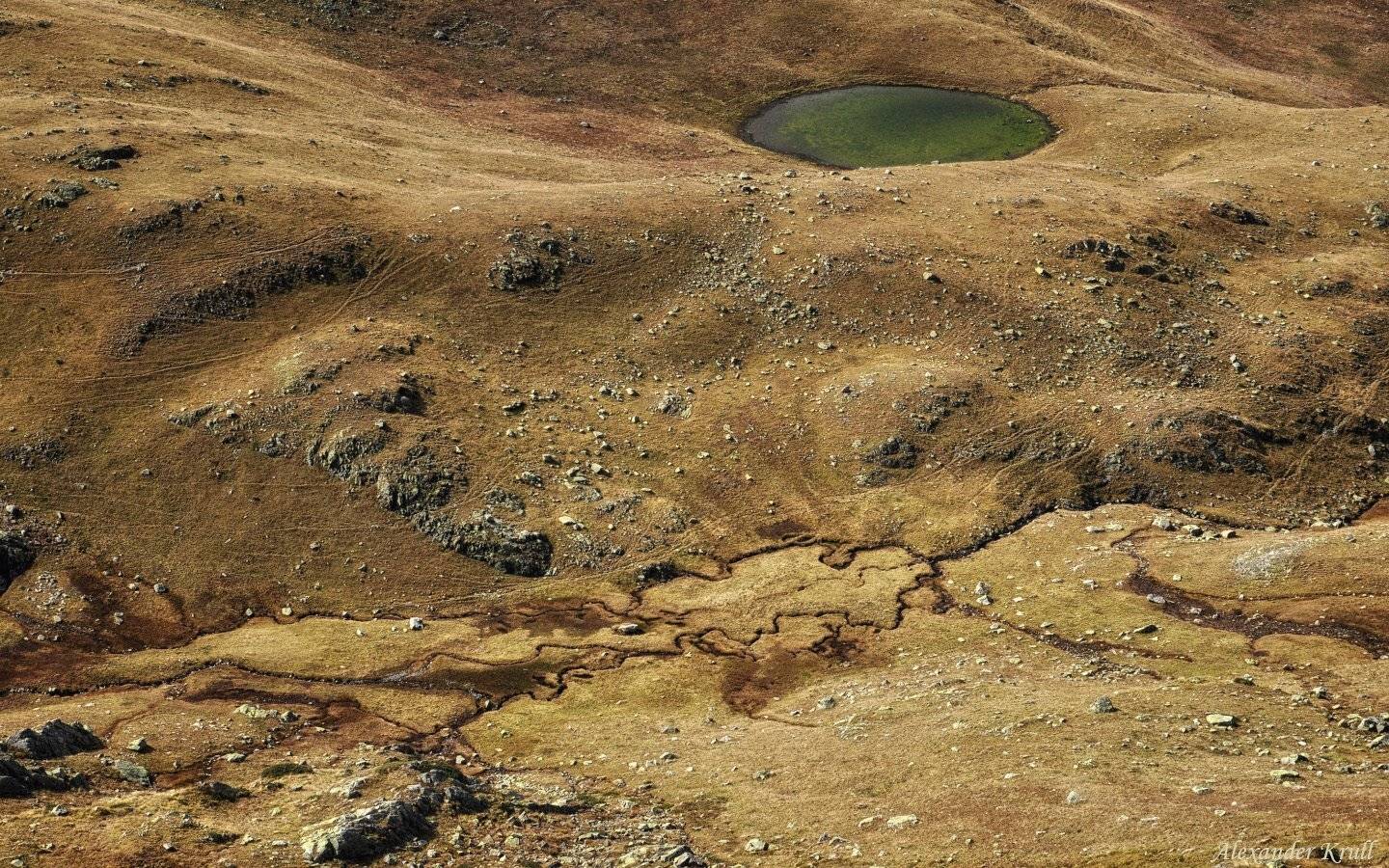 Кавказ, Александр Круль