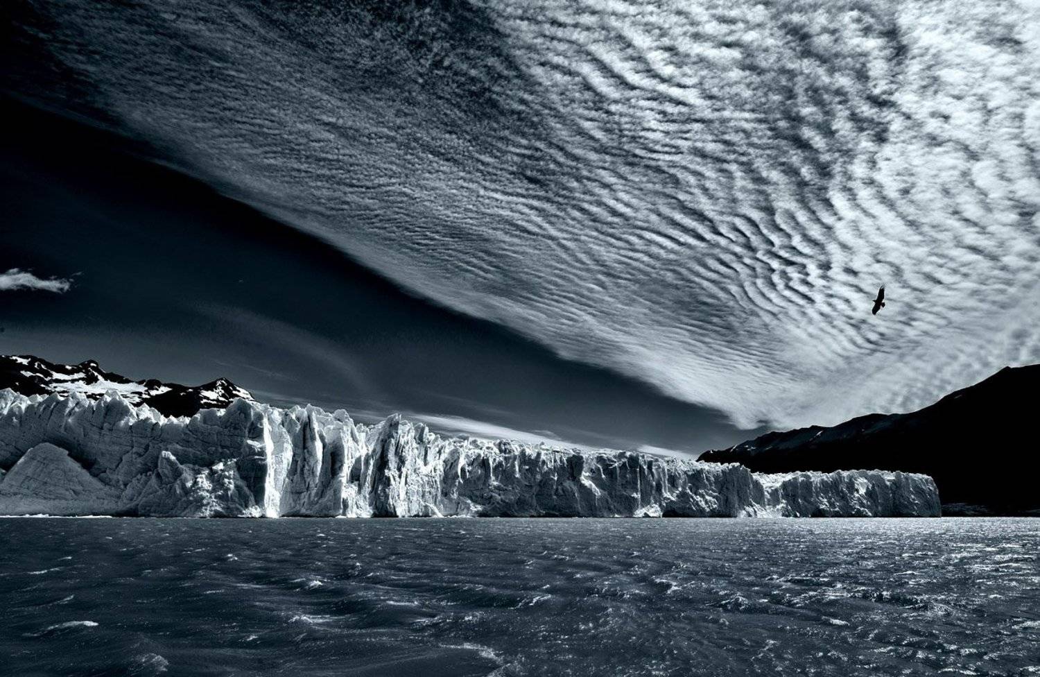 , Татьяна Гориловская