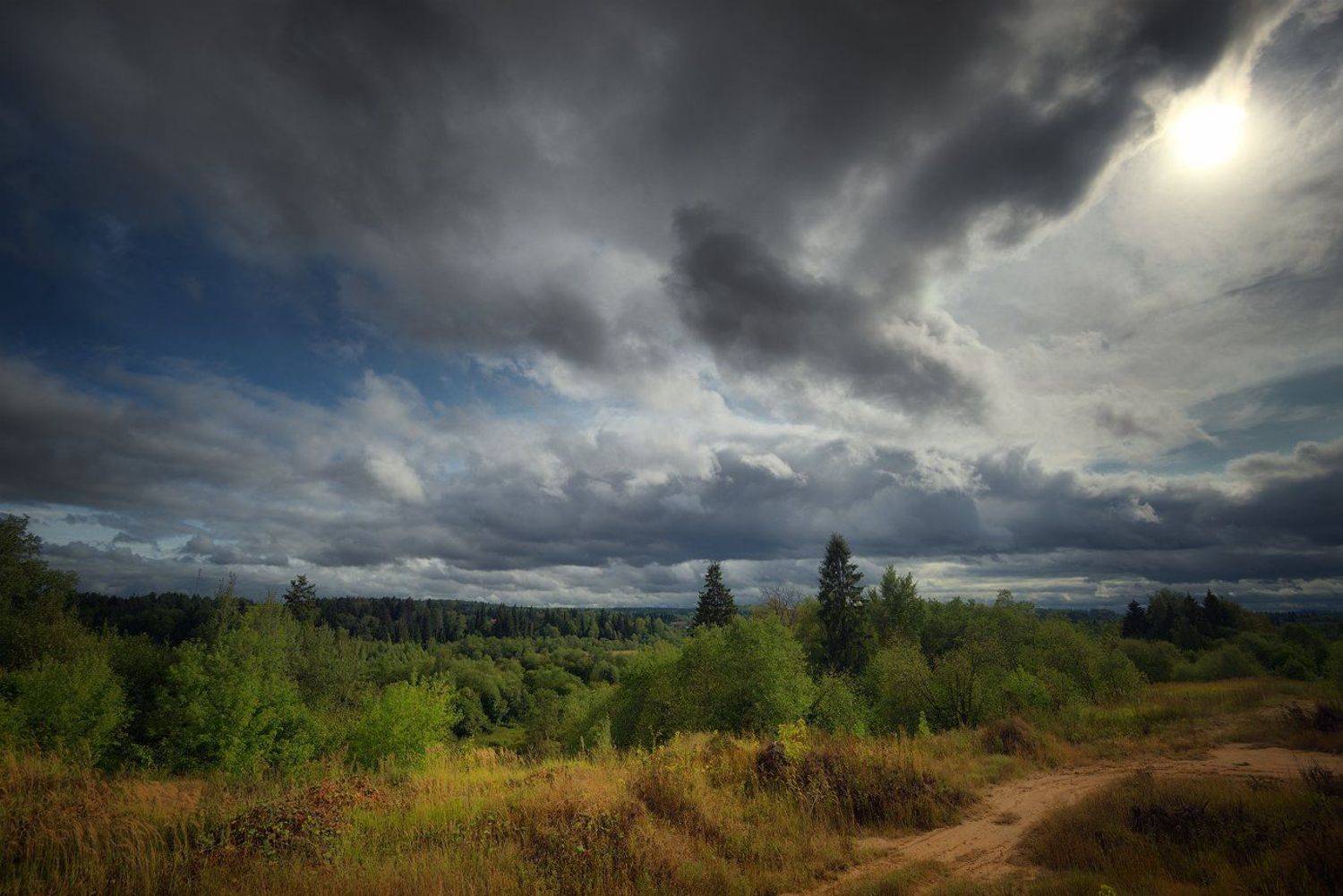 , Алексей Никонов