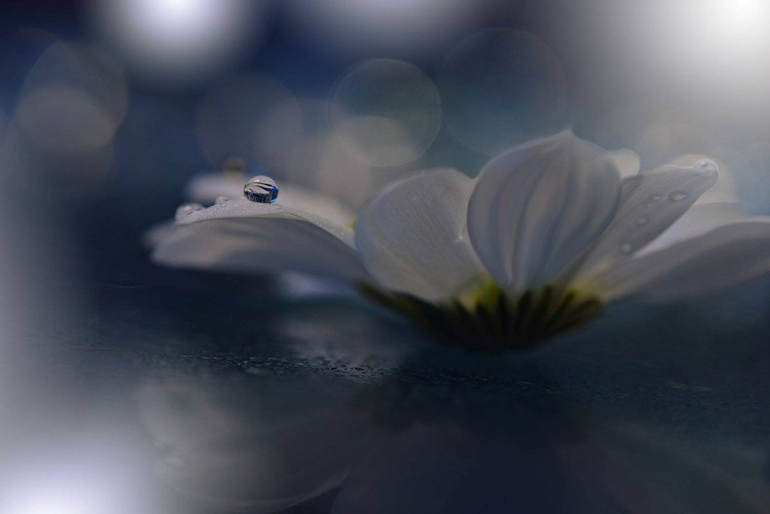 , Juliana Nan