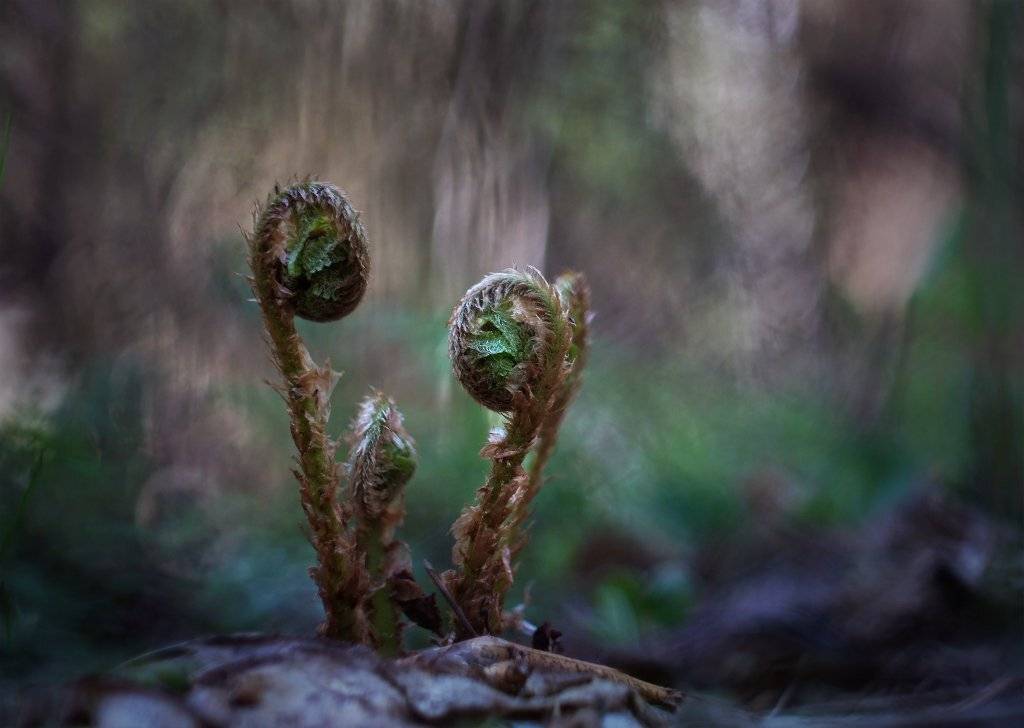 , Валерия Зверева