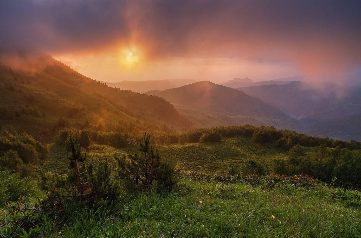 , Николай Мысливцев