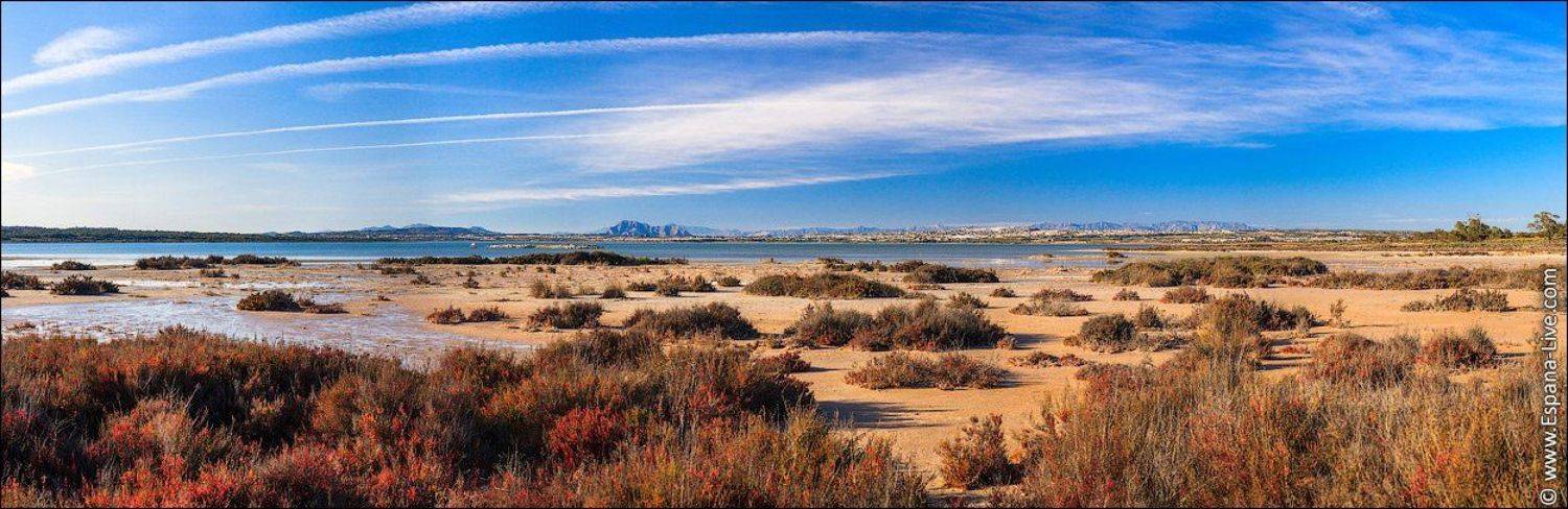 , Алексей Строганов