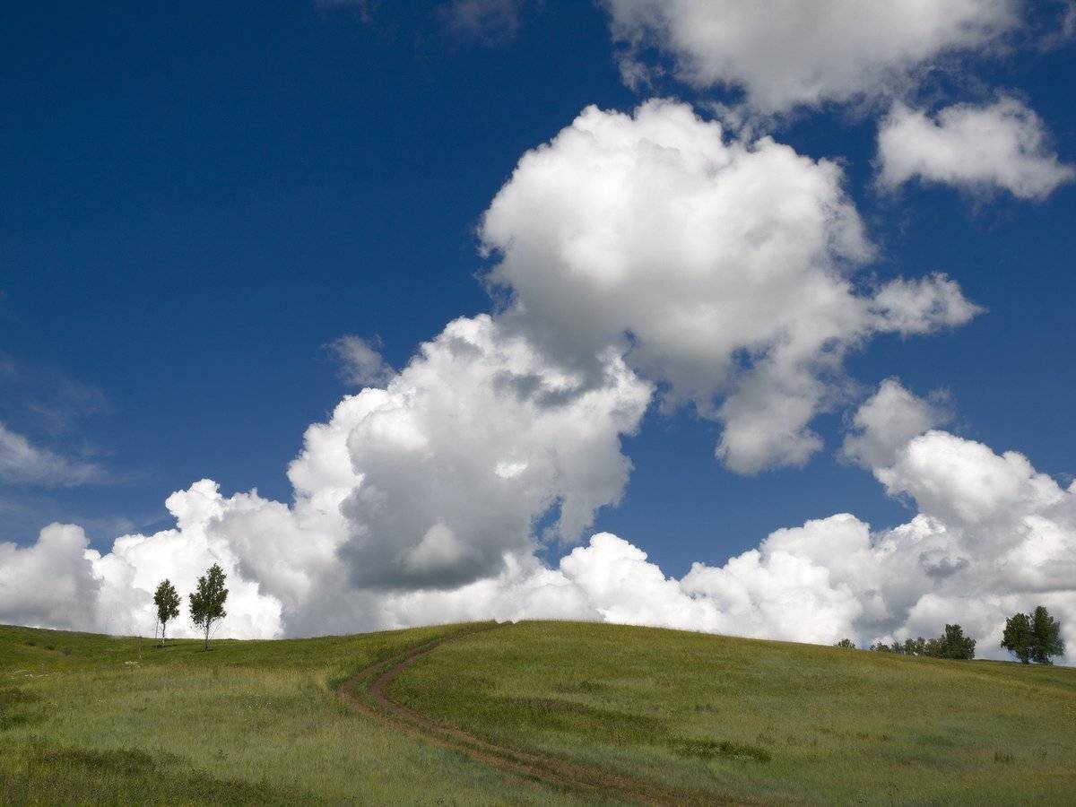 , Николай Морский