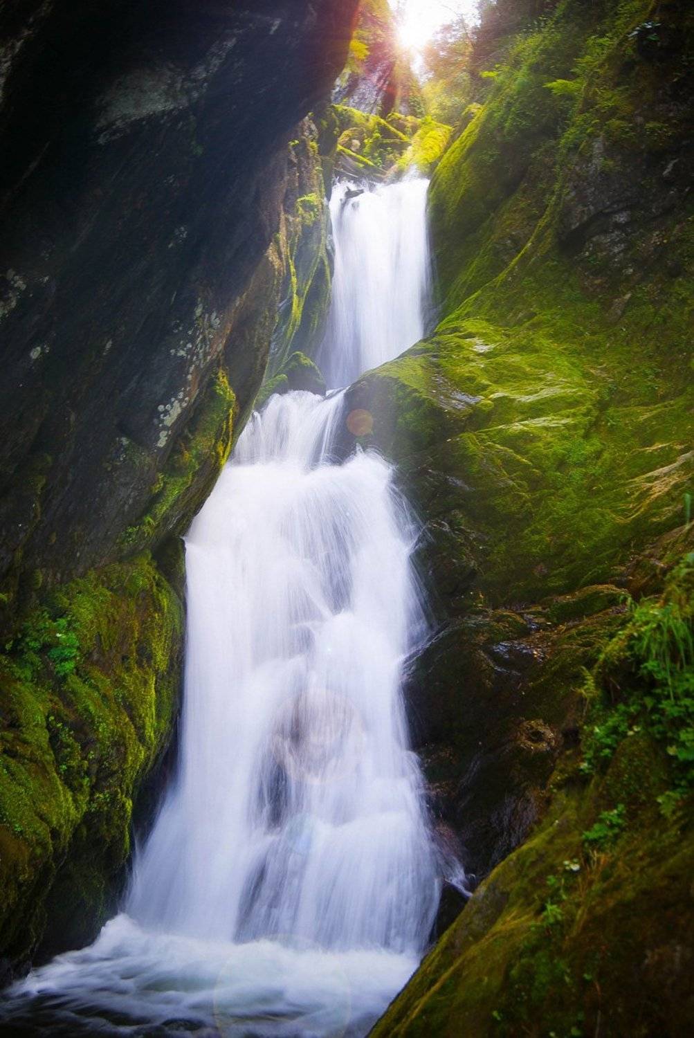 , Александр Казин