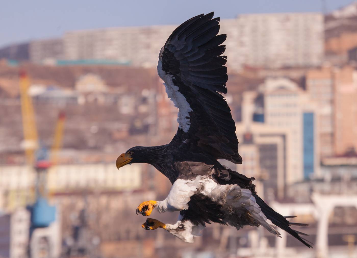 , Евгений Слободской