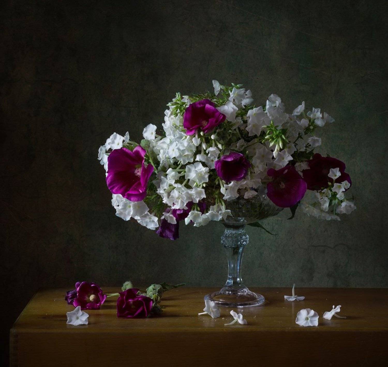 мальва, натюрморт, флоксы, цветы, Курочкина Диана