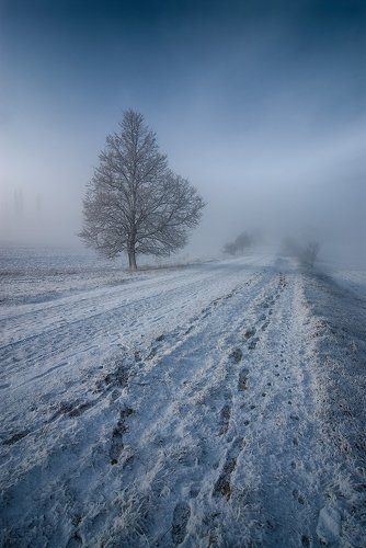 Туманное зимнее утро