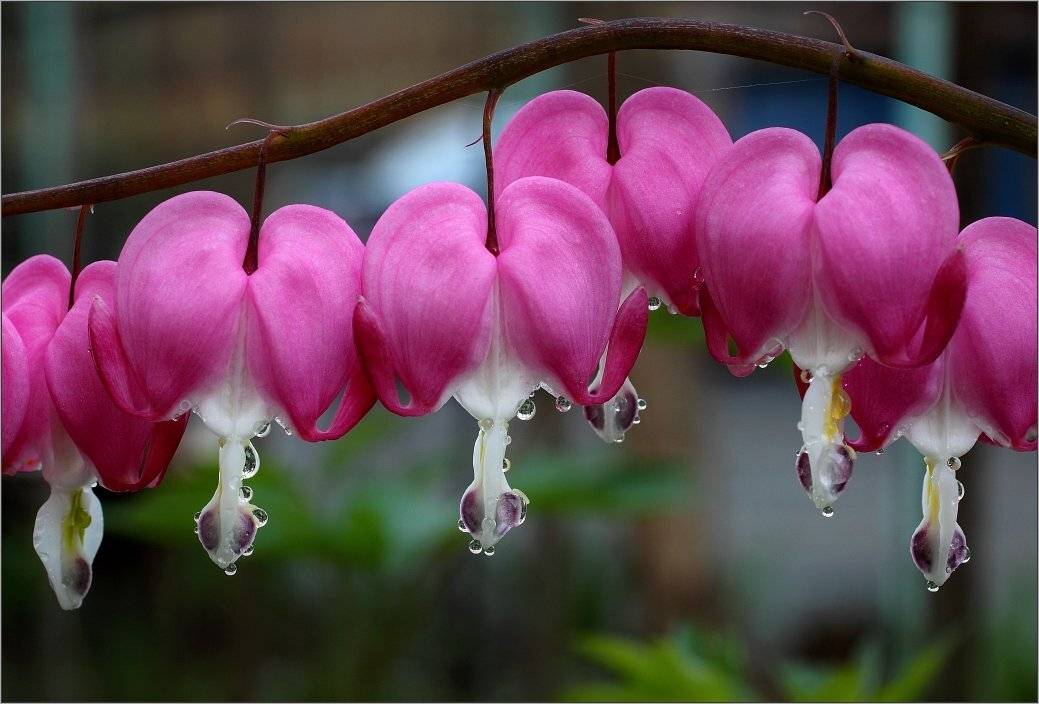 , Сергей Фудиненко