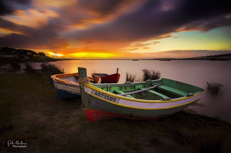 Trio фото превью