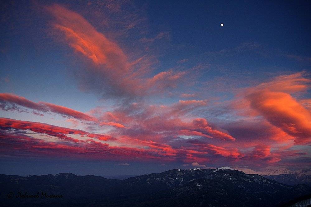 , Ловиков Михаил