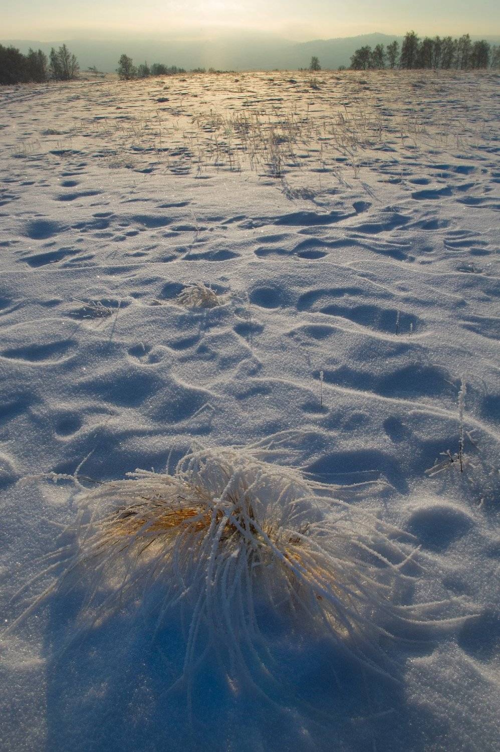 , Орлов Михаил