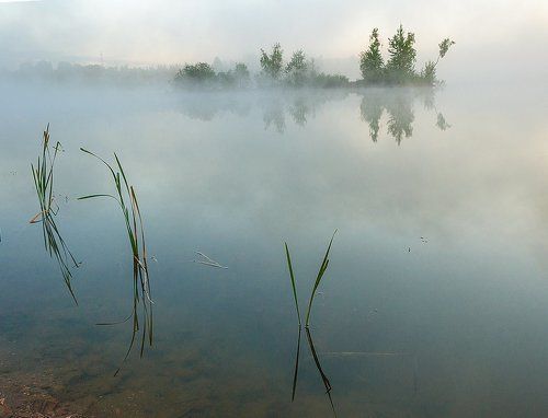 Наедине с туманом