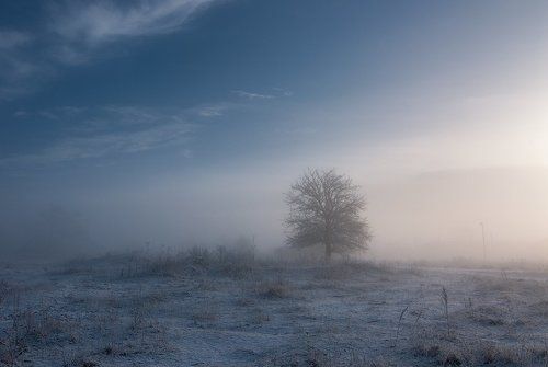 Февральское утро