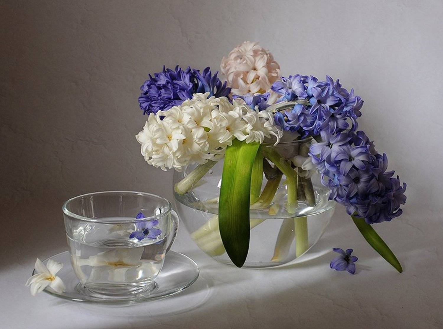 , Марина Орлова