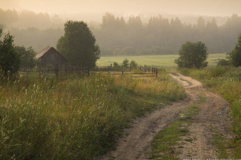 Первый день августа фото превью