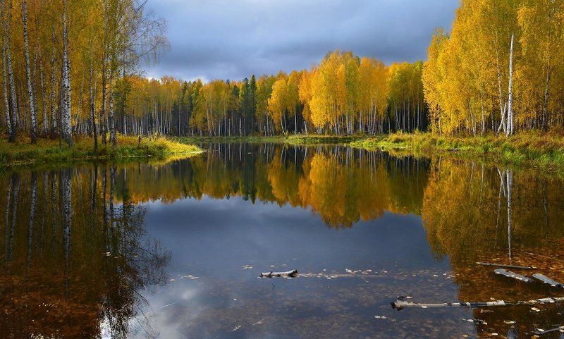 Лесное зеркало фото превью