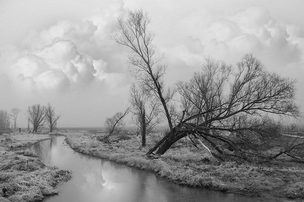 , Pawel Plucinski