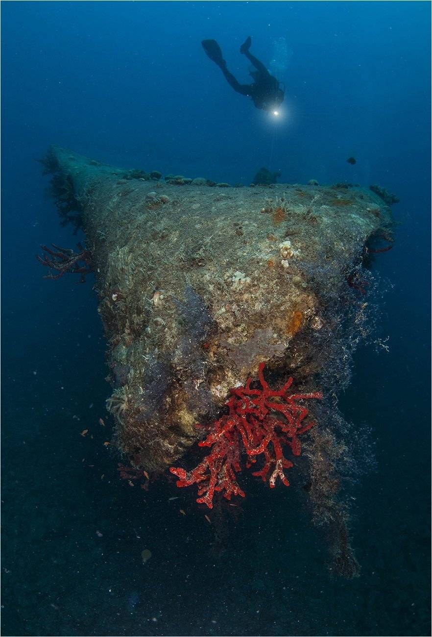 , Сергей Гаспарян