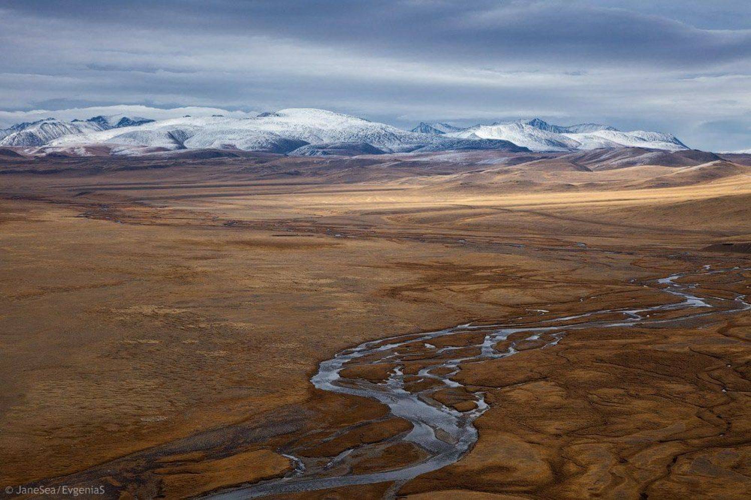 , Евгения Смолякова