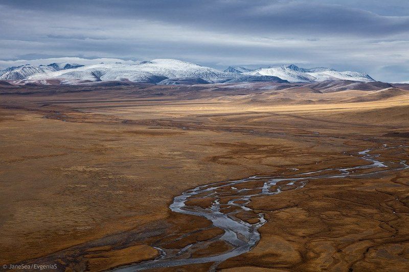 Пастель и Бархат фото превью